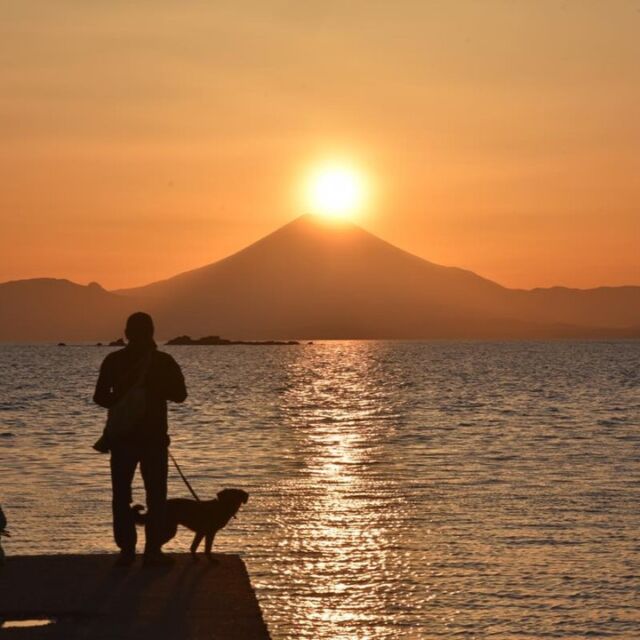 #長谷川 昇 #HASEGAWA NOBORU #HASEDON #横須賀市議会議員
ダイヤモンド富士、久留和海岸にて　西海岸からは海を隔て、素敵な富士山を眺めることができます。年2回春と秋にダイヤモンド富士が見れます。